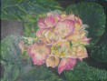 /album/novembre-2017-exposition-en-lhonneur-de-raymond-dumas/therese-img-7018-jpg1/